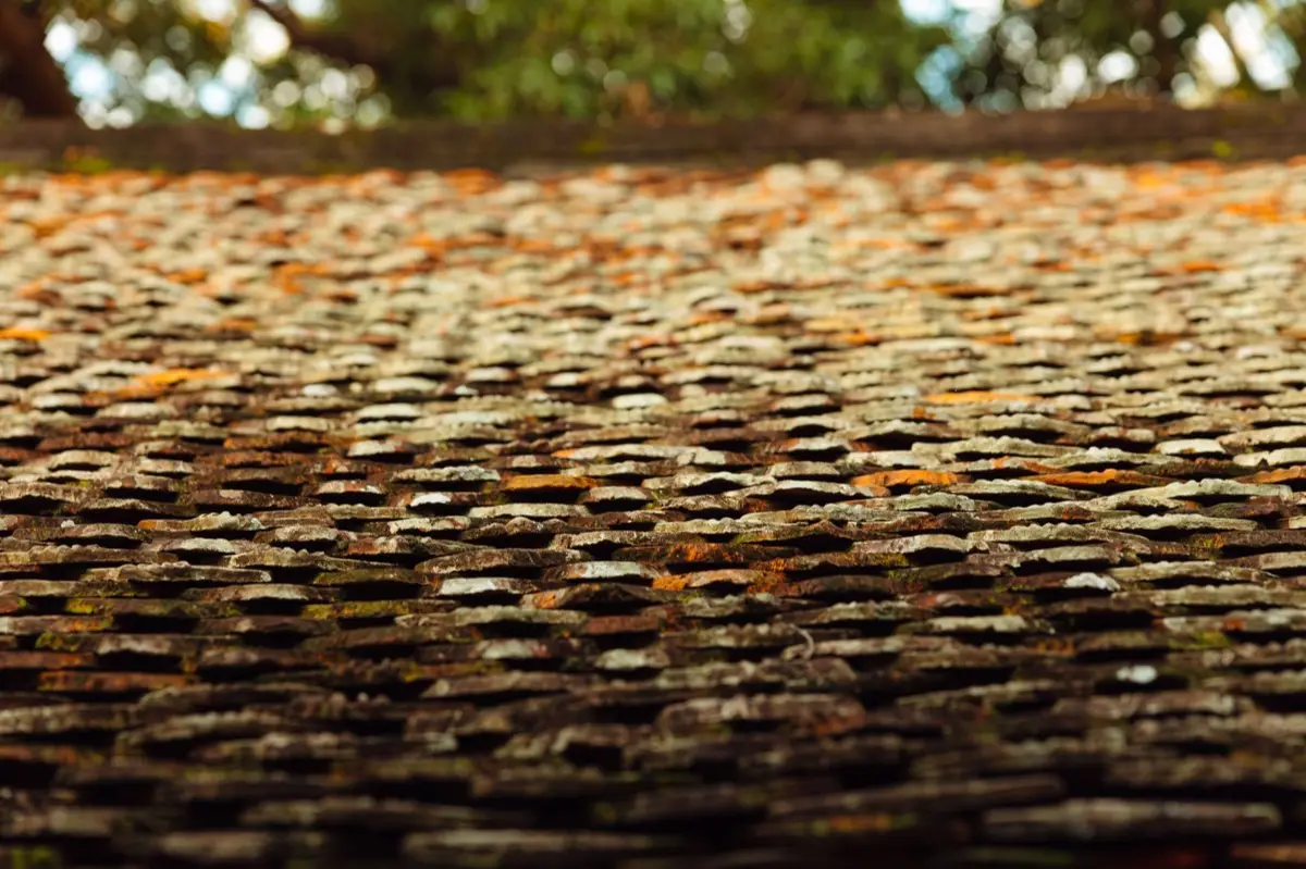Aging shingle roof with moss growth and granule loss in Sierra Vista, AZ